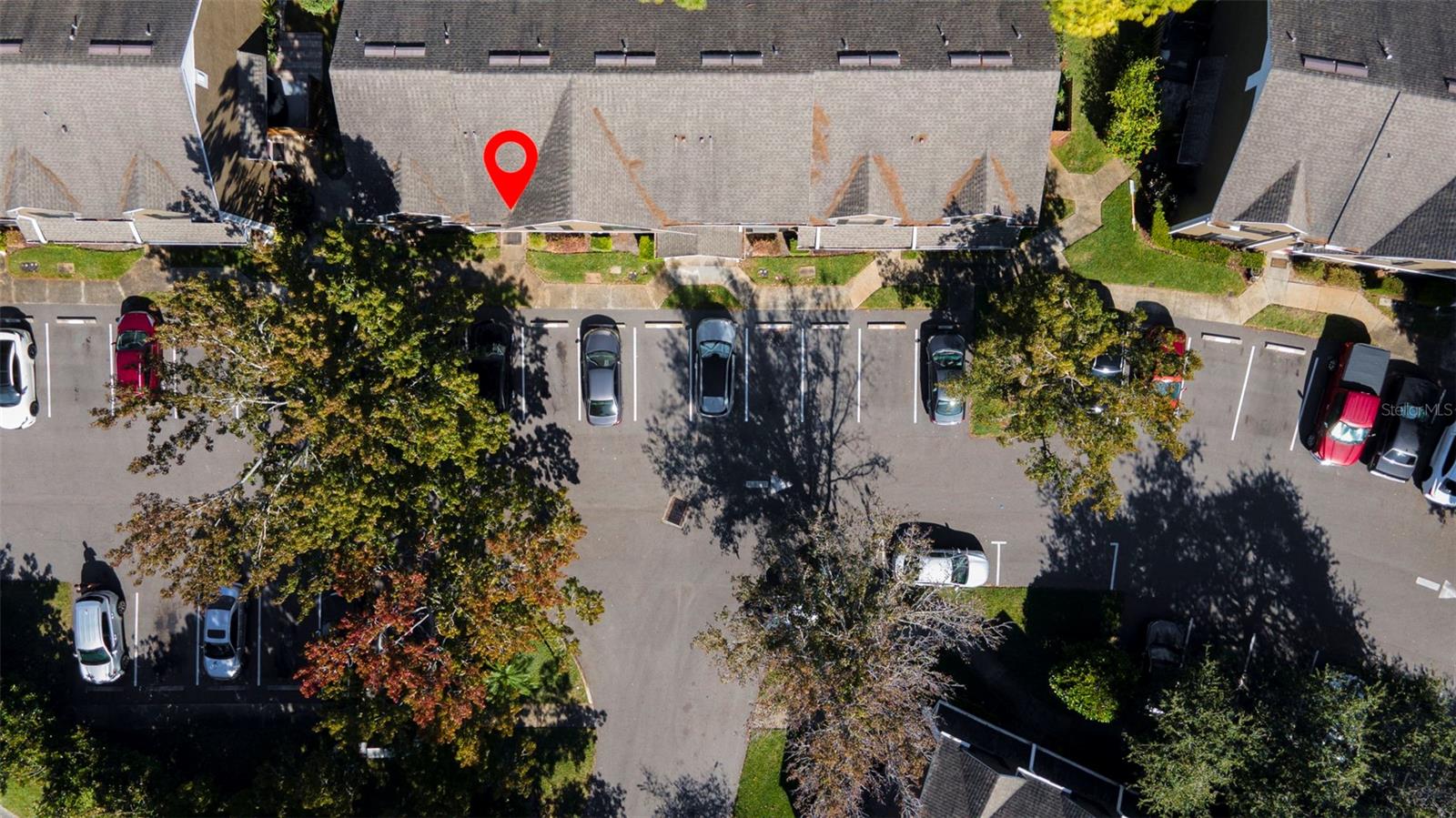 16545 LAKE BRIGADOON CIR, TAMPA, FL — photo 44
