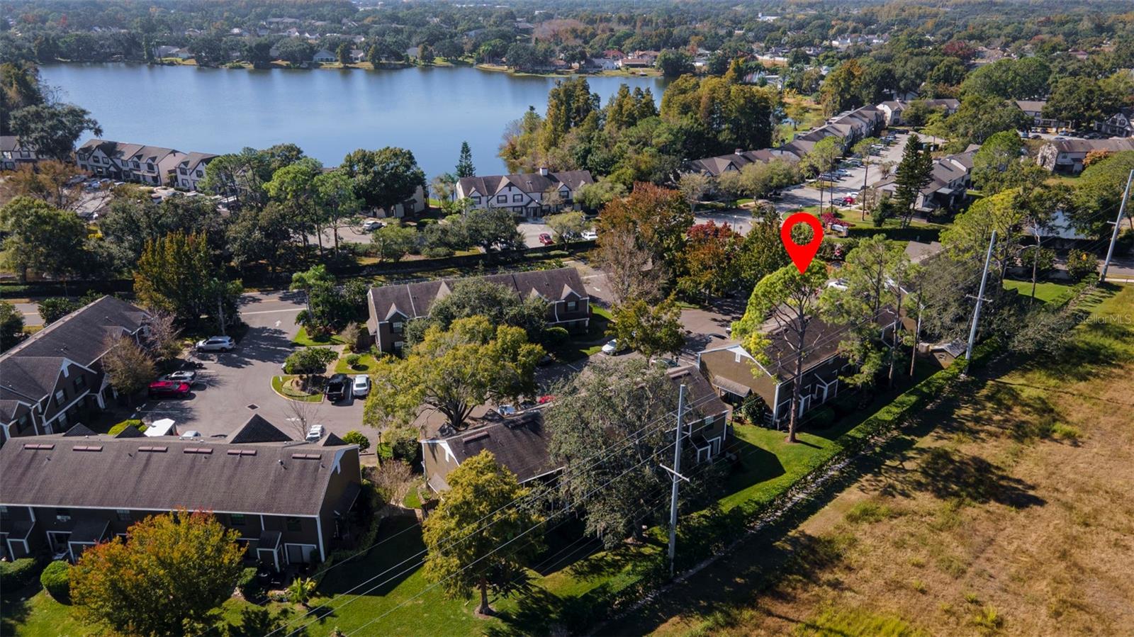 16545 LAKE BRIGADOON CIR, TAMPA, FL — photo 49