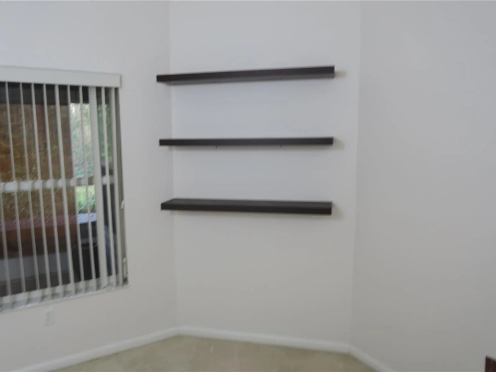 32512 OAK PARK DR, LEESBURG, FL — photo 24