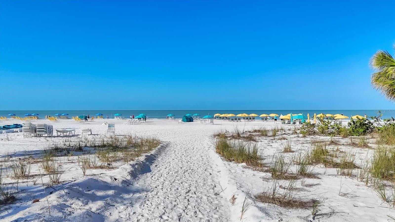 1250 N PORTOFINO DR #303, SARASOTA, FL — photo 43