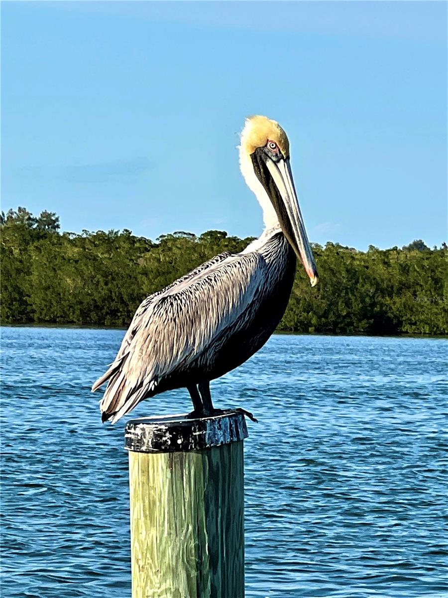9568 BUCCANEER TRL, PLACIDA, FL — photo 44