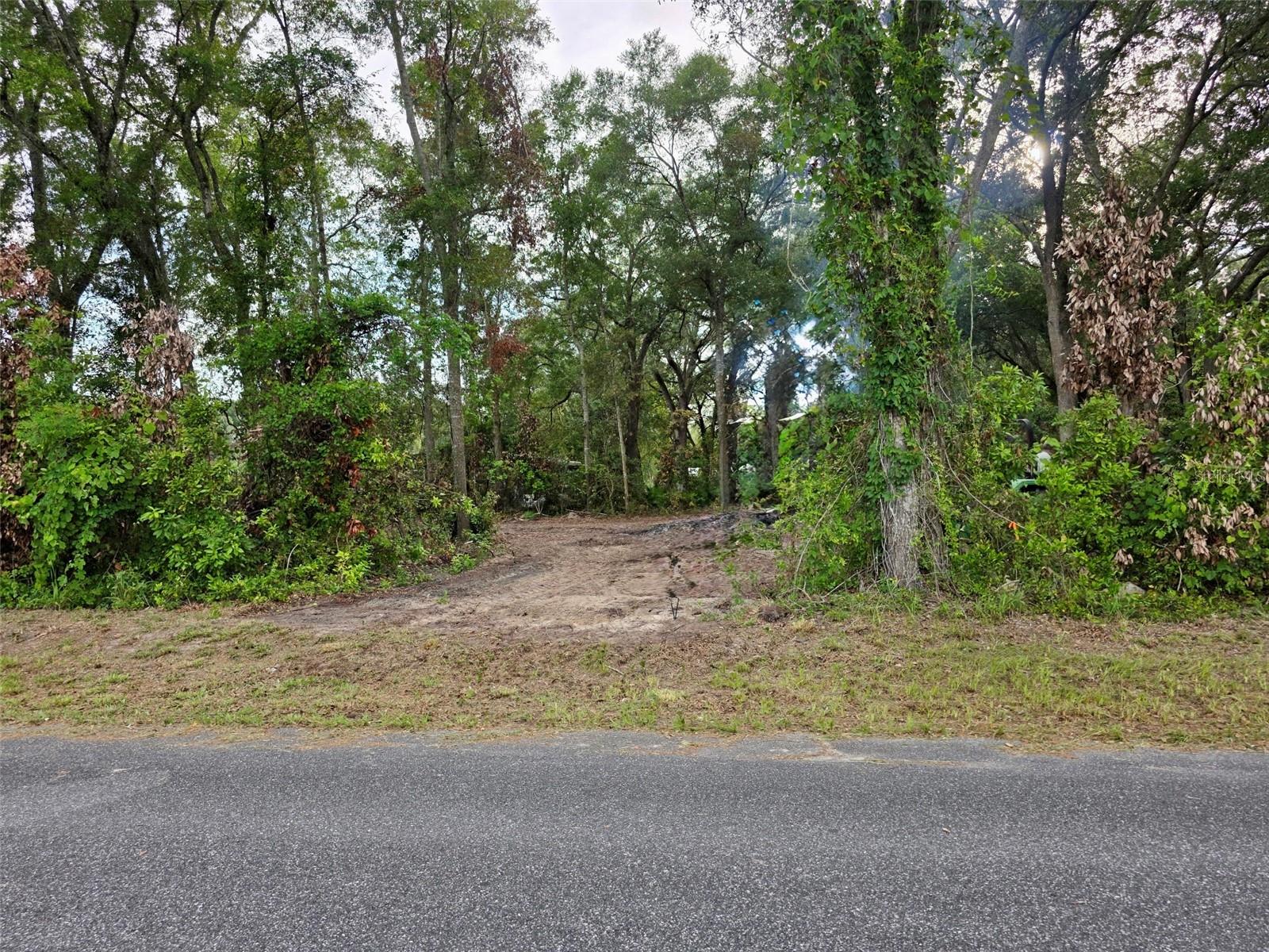 Lot 111 NW 70TH AVE, TRENTON, FL — photo 3