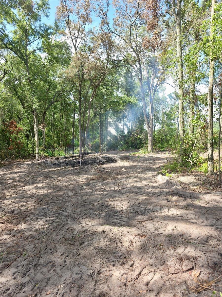 Lot 111 NW 70TH AVE, TRENTON, FL — photo 4
