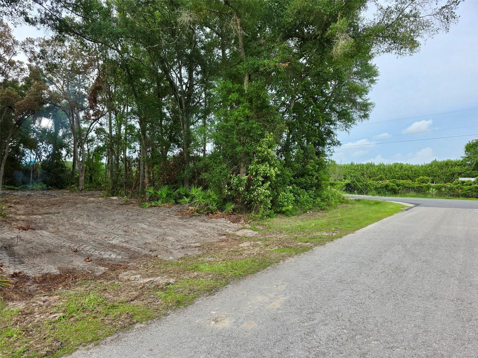 Lot 112 NW 70TH AVE, TRENTON, FL — photo 3