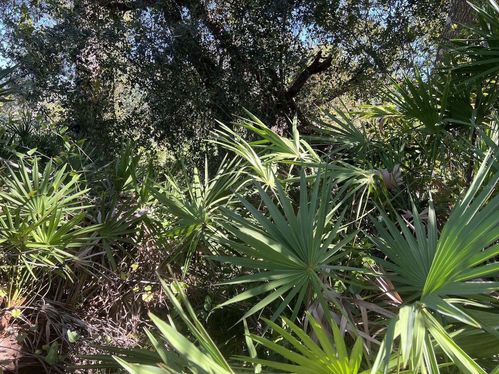 DE LEON DR, NORTH PORT, FL — photo 4