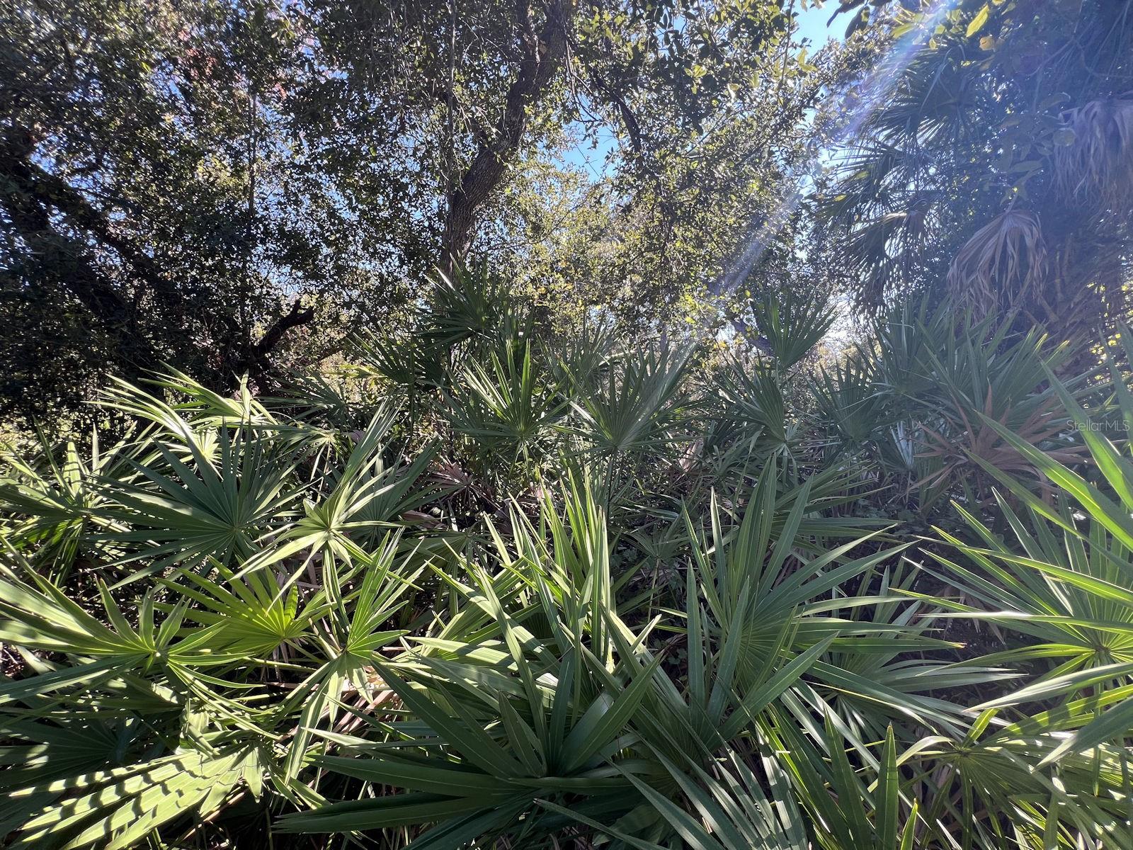 DE LEON DR, NORTH PORT, FL — photo 5