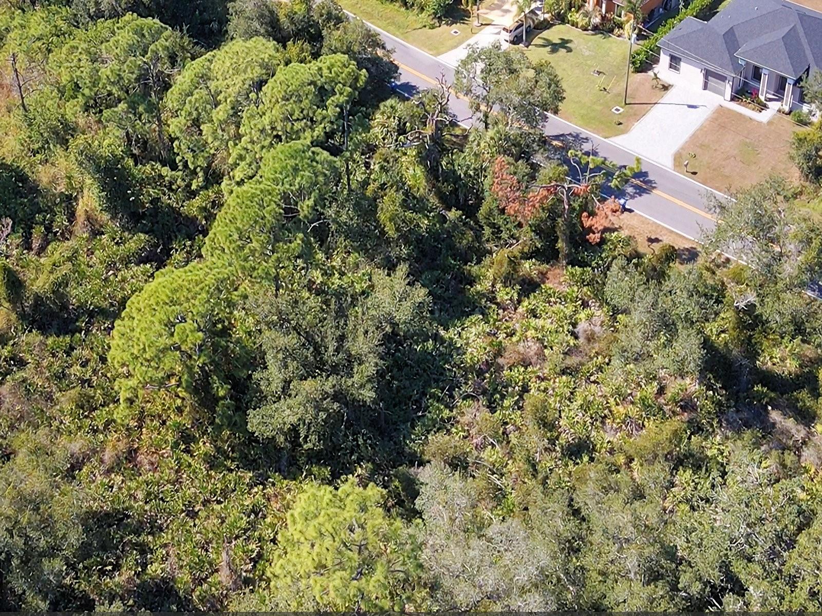 DE LEON DR, NORTH PORT, FL — photo 10