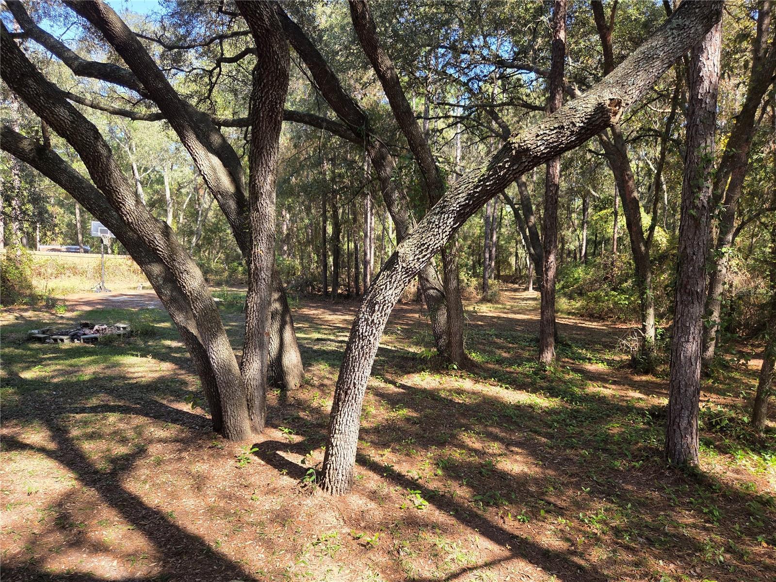 118 LEMON ST, MELROSE, FL — photo 17