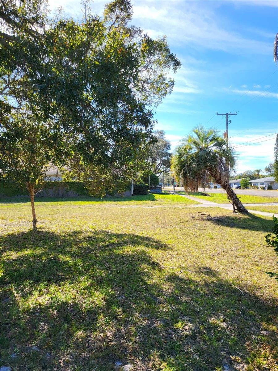 2131 COACHMAN RD NE, CLEARWATER, FL — photo 5