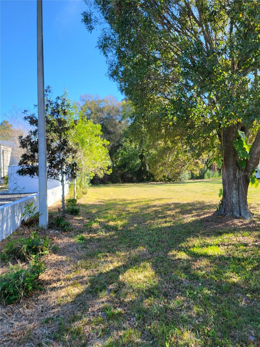2131 COACHMAN RD NE, CLEARWATER, FL — photo 6