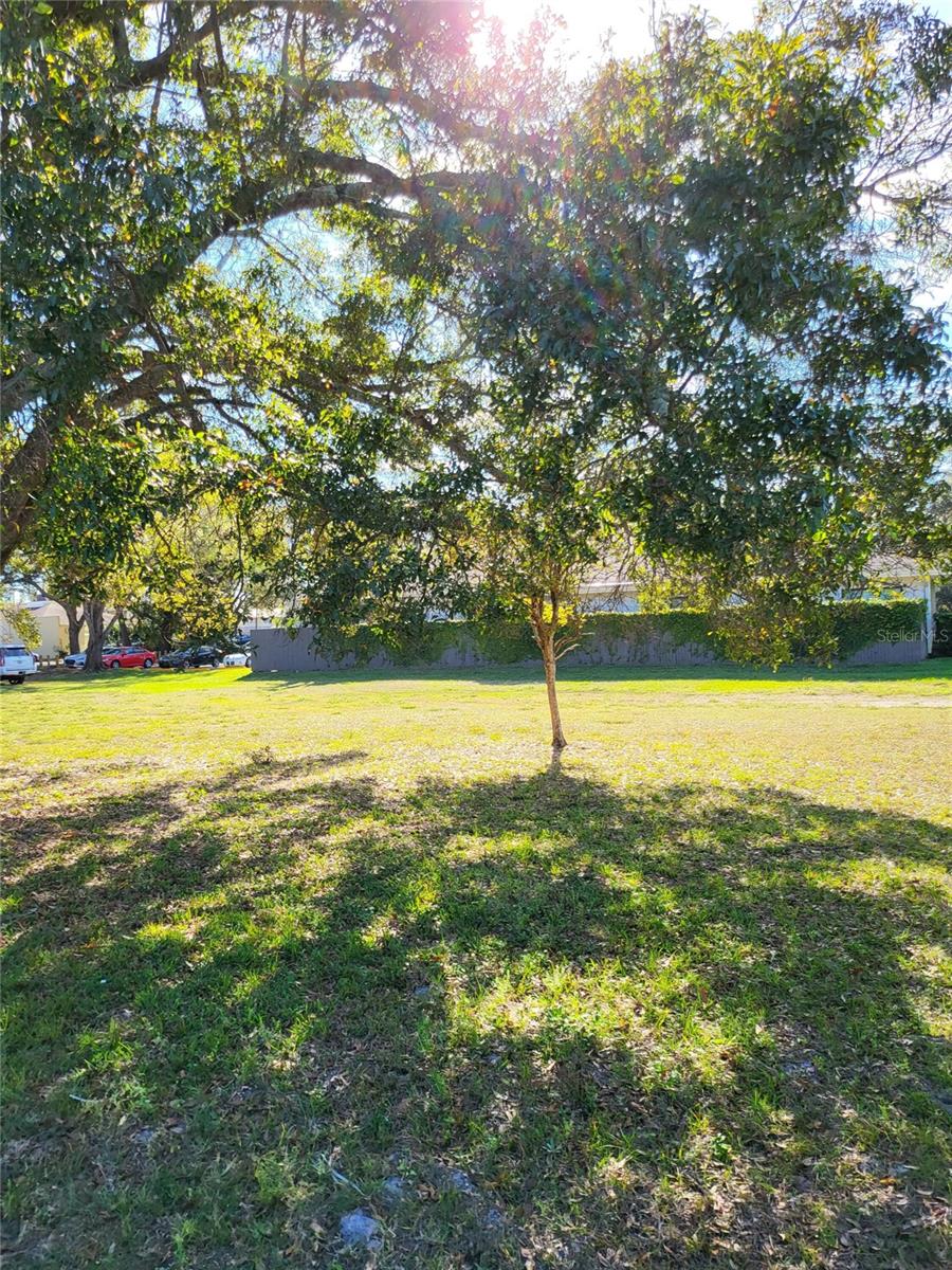 2131 COACHMAN RD NE, CLEARWATER, FL — photo 7