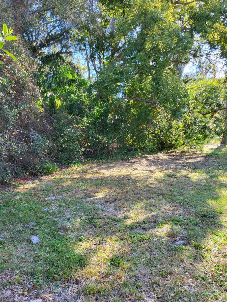 2131 COACHMAN RD NE, CLEARWATER, FL — photo 10