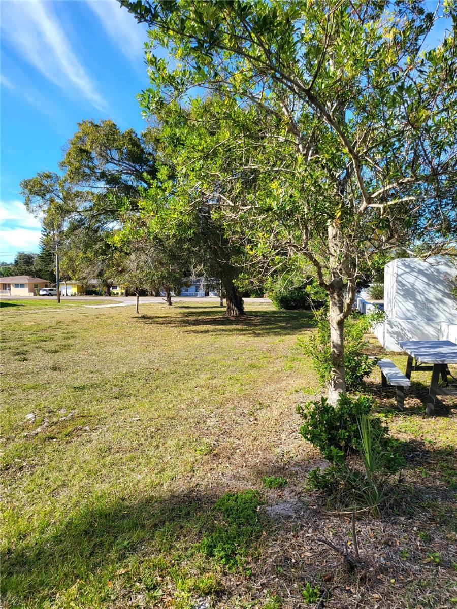 2131 COACHMAN RD NE, CLEARWATER, FL — photo 12