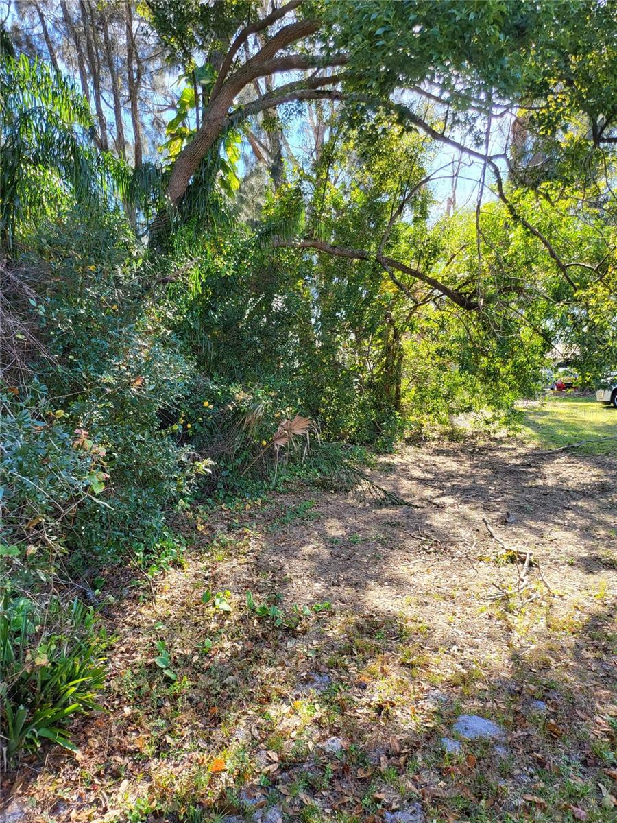 2131 COACHMAN RD NE, CLEARWATER, FL — photo 13