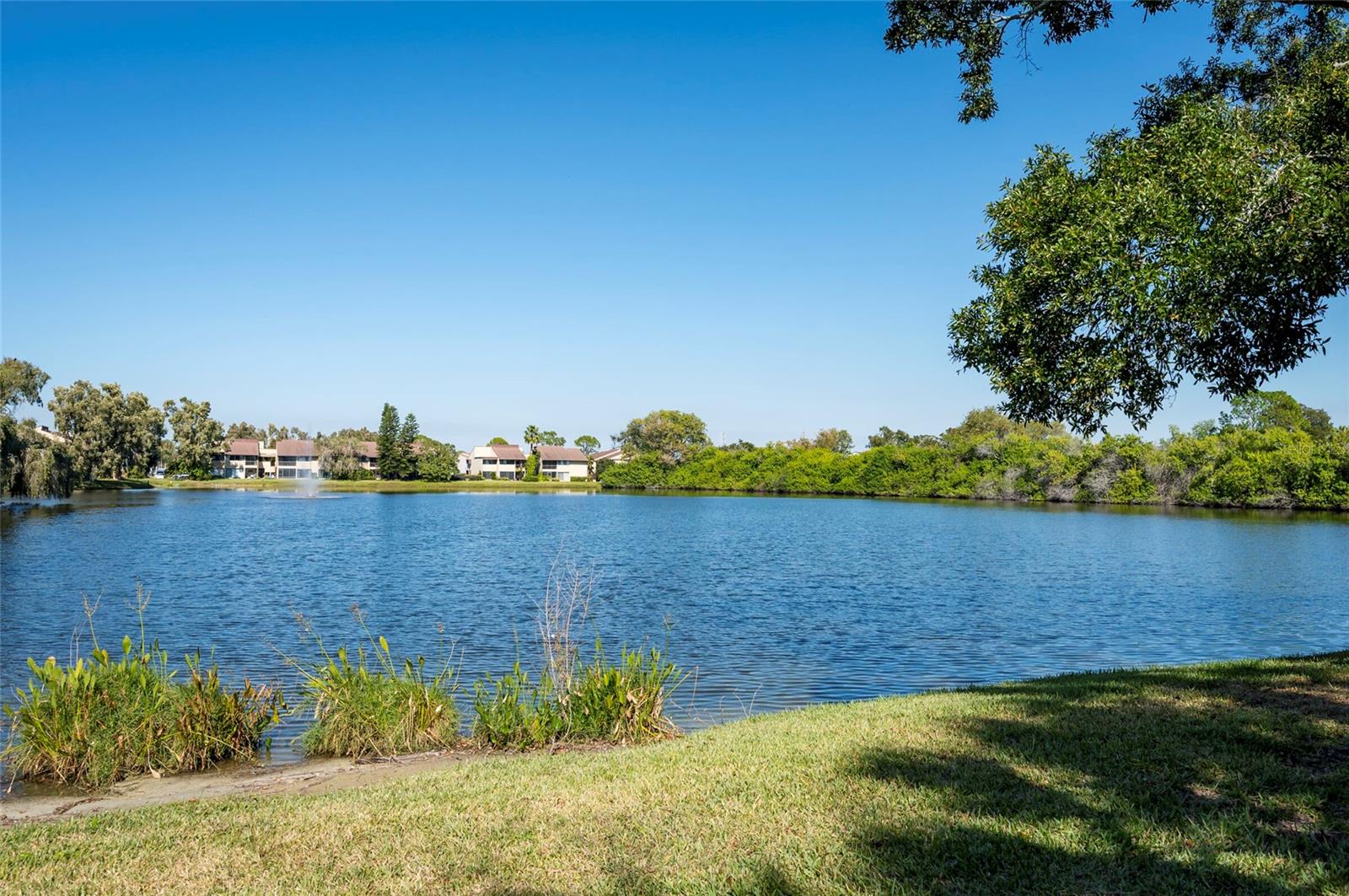 735 S VILLAGE DR N #206, ST PETERSBURG, FL — photo 33