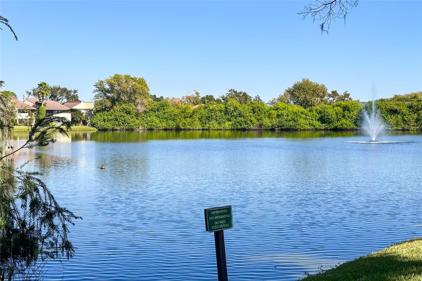 735 S VILLAGE DR N #206, ST PETERSBURG, FL — photo 41