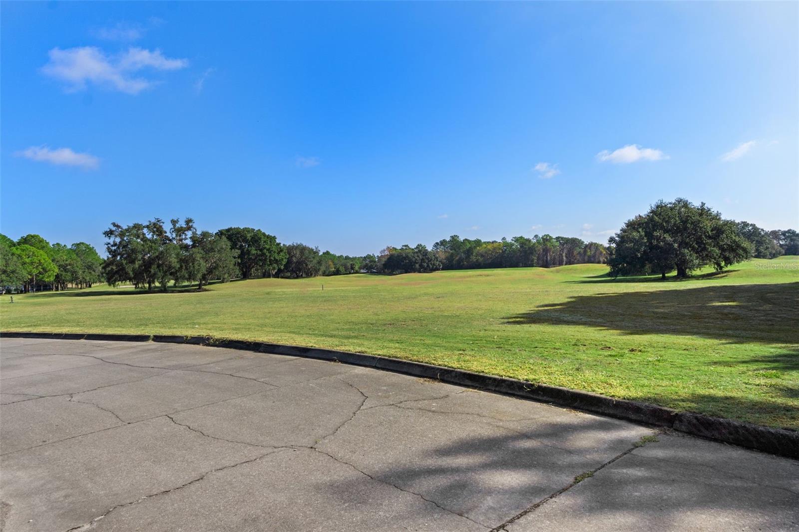 4460 GOLF CLUB LN, SPRING HILL, FL — photo 30