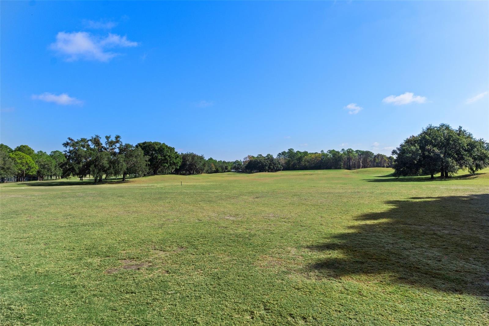 4460 GOLF CLUB LN, SPRING HILL, FL — photo 31