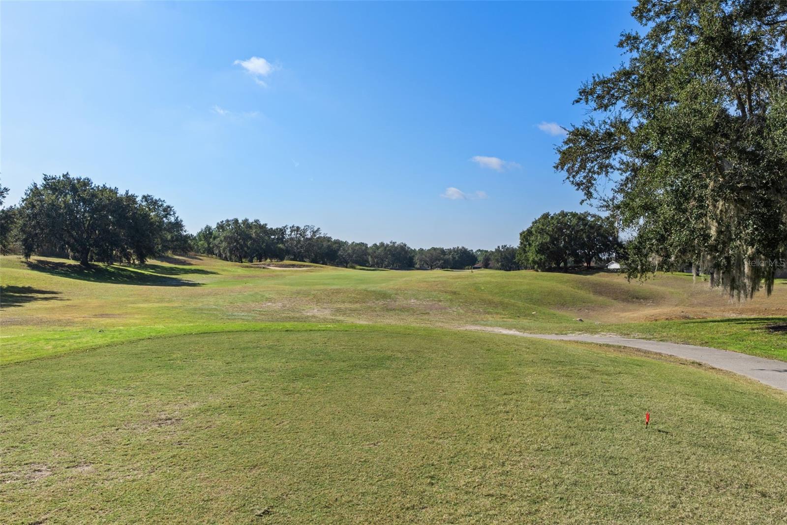 4460 GOLF CLUB LN, SPRING HILL, FL — photo 47