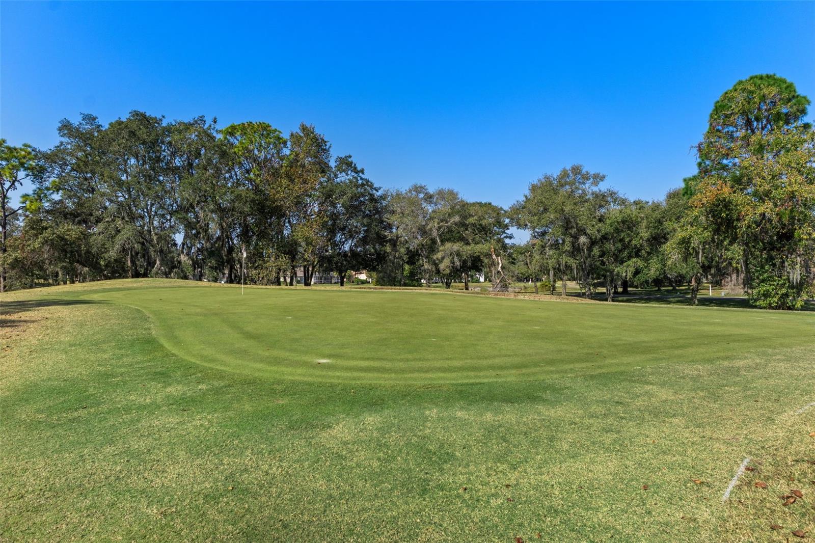 4460 GOLF CLUB LN, SPRING HILL, FL — photo 70