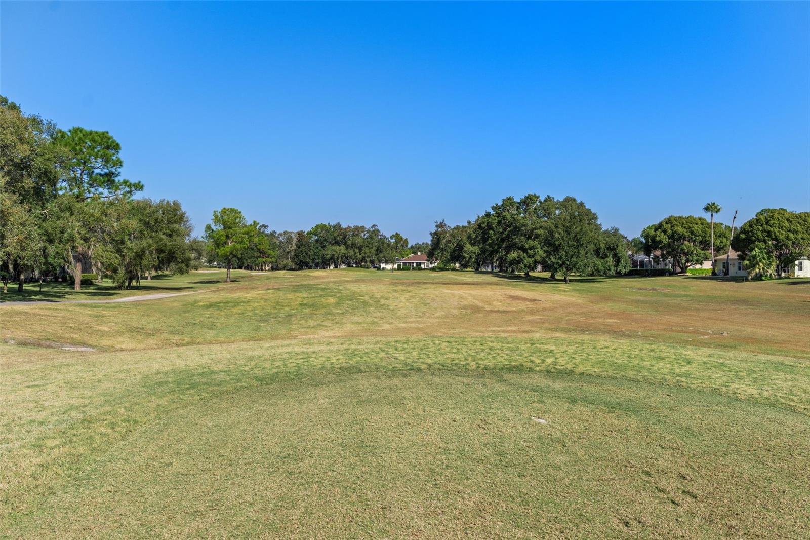 4460 GOLF CLUB LN, SPRING HILL, FL — photo 80
