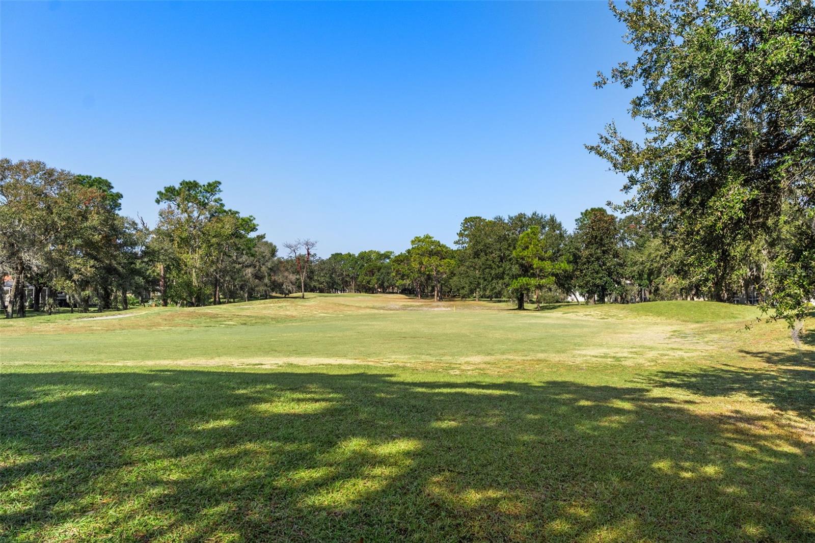 4460 GOLF CLUB LN, SPRING HILL, FL — photo 81
