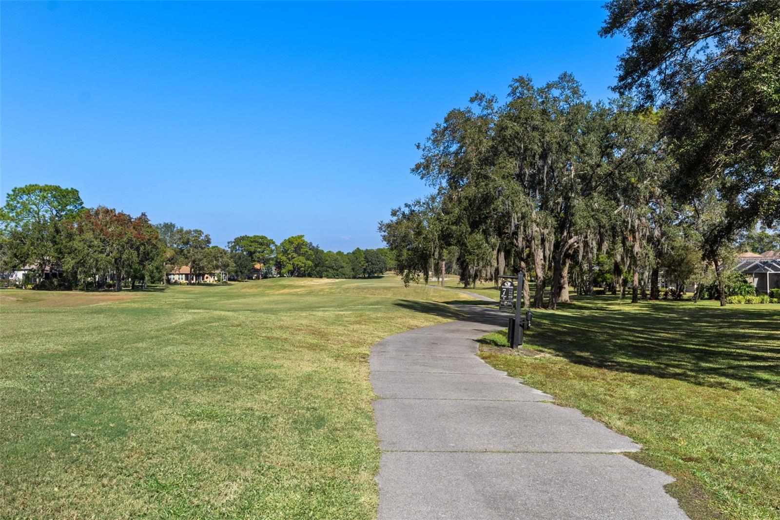 4460 GOLF CLUB LN, SPRING HILL, FL — photo 87