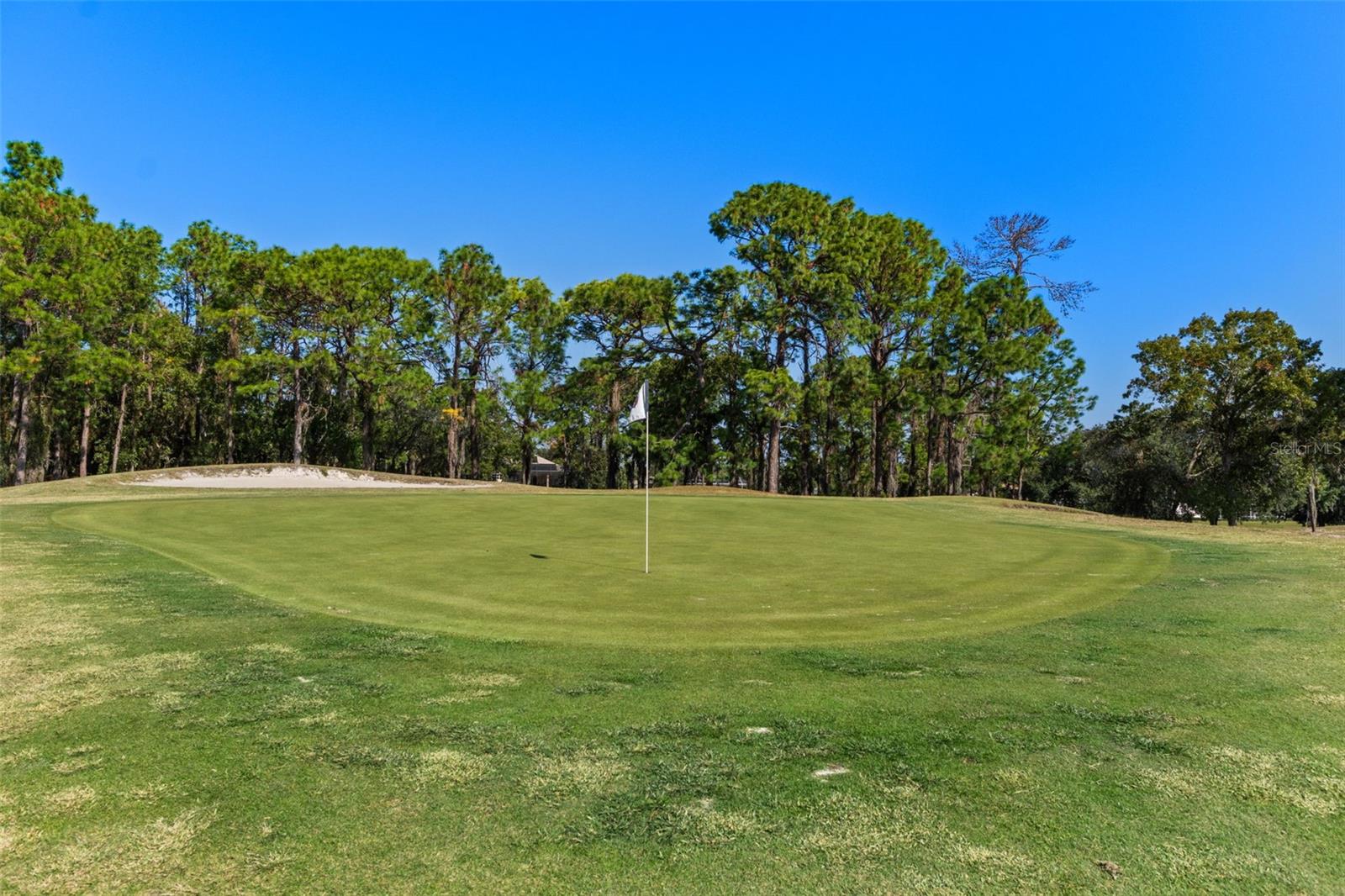 4460 GOLF CLUB LN, SPRING HILL, FL — photo 93