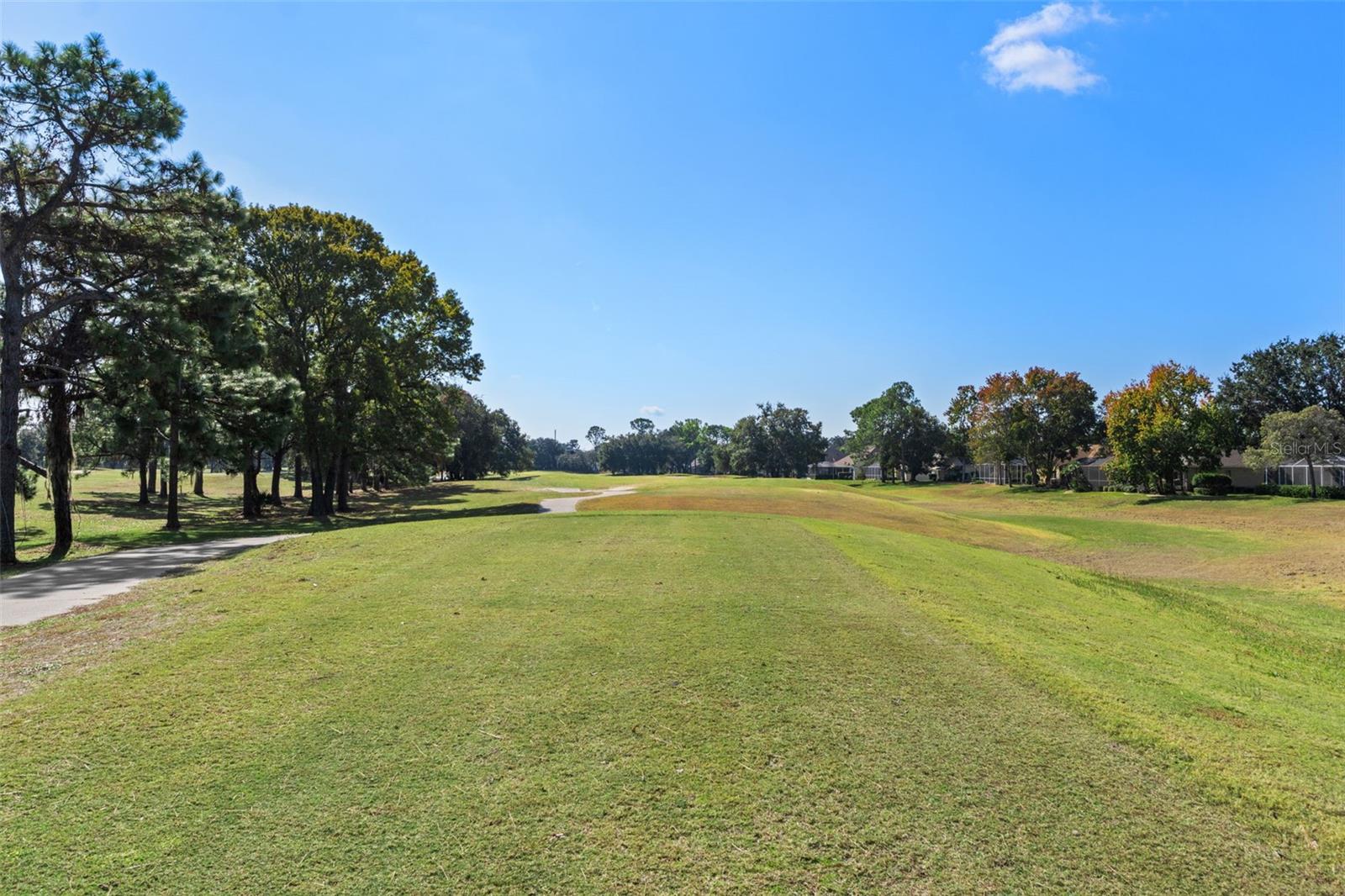 4460 GOLF CLUB LN, SPRING HILL, FL — photo 100