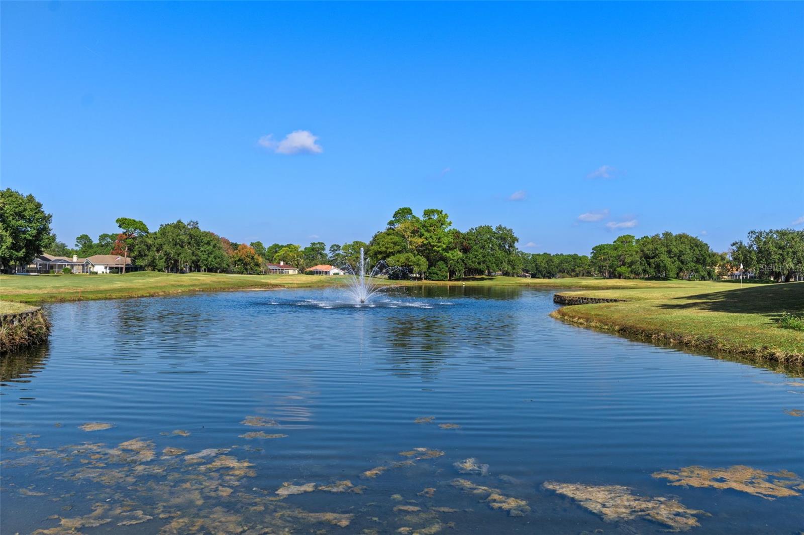 4460 GOLF CLUB LN, SPRING HILL, FL — photo 111