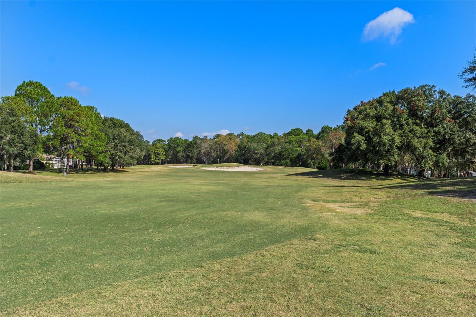 4460 GOLF CLUB LN, SPRING HILL, FL — photo 115