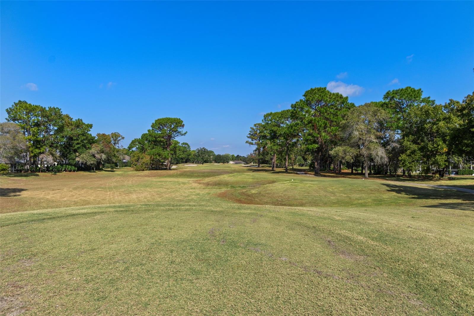 4460 GOLF CLUB LN, SPRING HILL, FL — photo 123