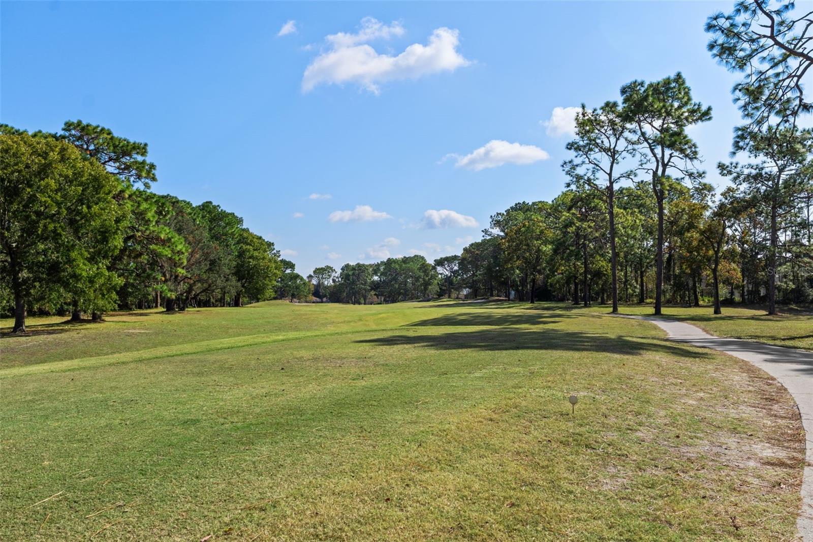 4460 GOLF CLUB LN, SPRING HILL, FL — photo 132