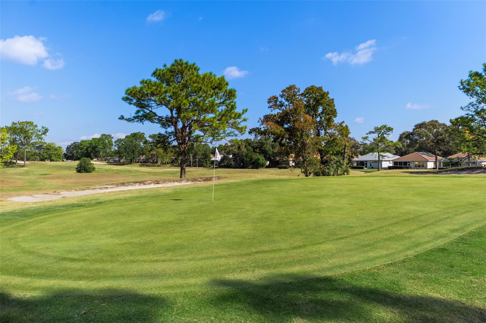 4460 GOLF CLUB LN, SPRING HILL, FL — photo 135