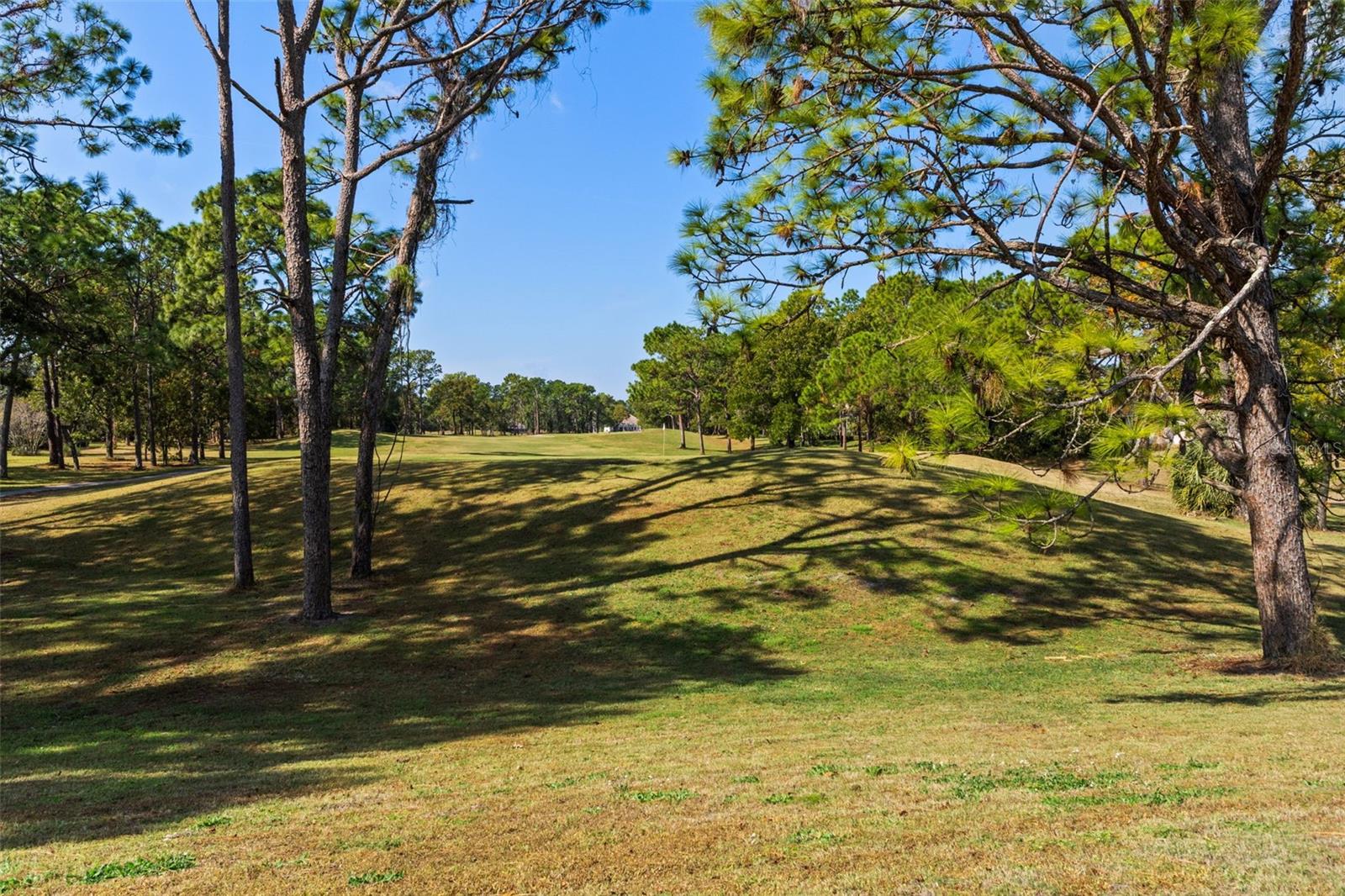 4460 GOLF CLUB LN, SPRING HILL, FL — photo 138