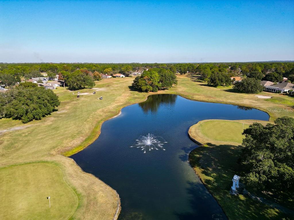4460 GOLF CLUB LN, SPRING HILL, FL — photo 139