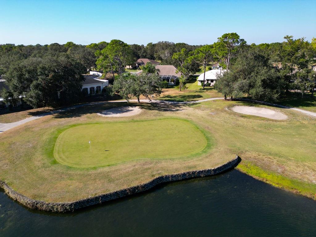 4460 GOLF CLUB LN, SPRING HILL, FL — photo 189