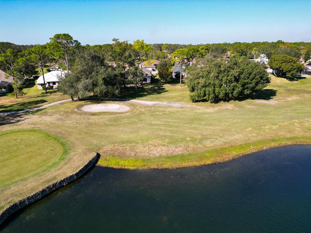 4460 GOLF CLUB LN, SPRING HILL, FL — photo 191