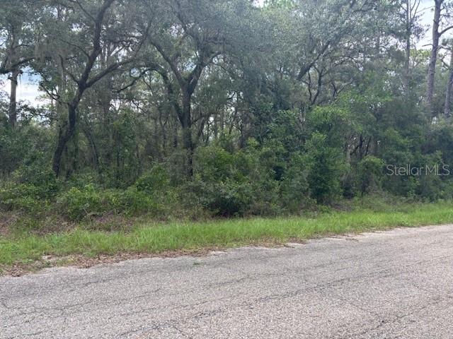 0000 SE 124TH CT, DUNNELLON, FL