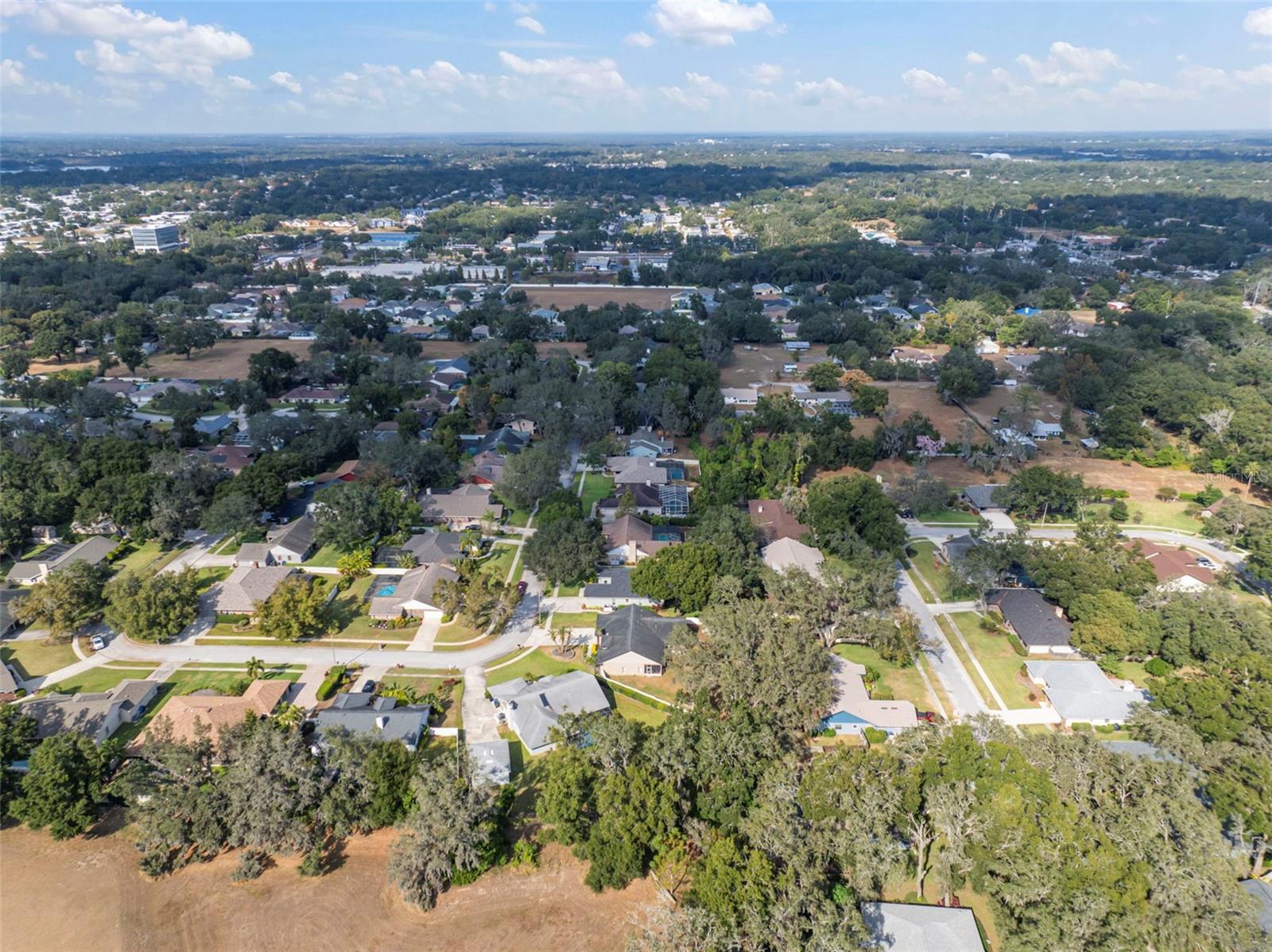 424 SUMMIT CHASE DR, VALRICO, FL — photo 65