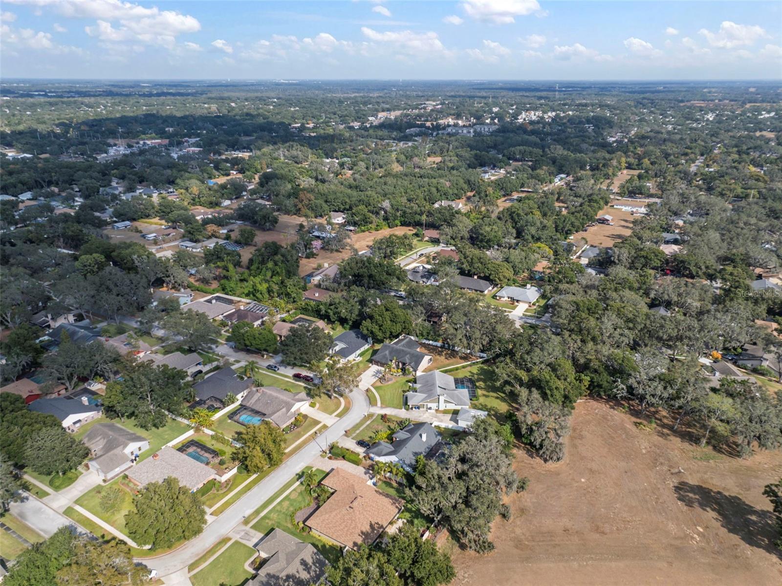 424 SUMMIT CHASE DR, VALRICO, FL — photo 66