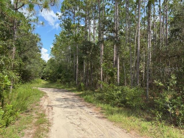 0000 SW 39TH ST, DUNNELLON, FL