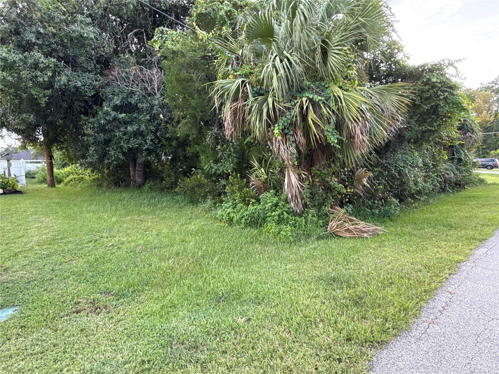 38 PINEAPPLE DR, PALM COAST, FL — photo 5