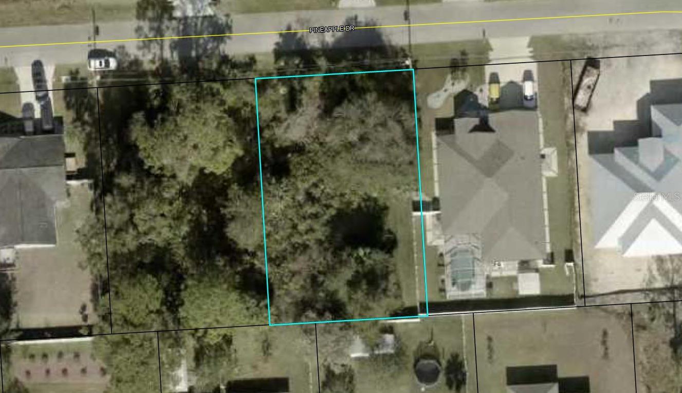 38 PINEAPPLE DR, PALM COAST, FL — photo 7