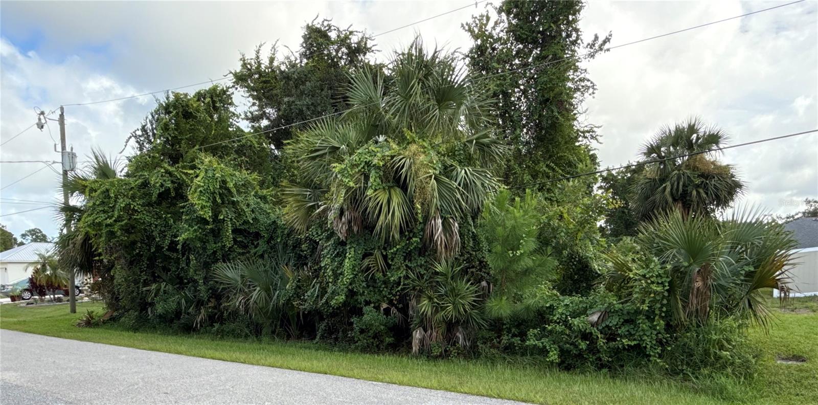 38 PINEAPPLE DR, PALM COAST, FL — photo 9