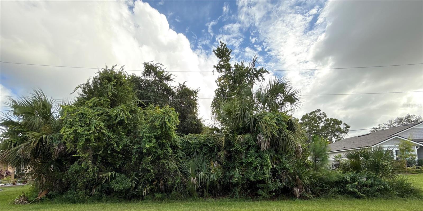 38 PINEAPPLE DR, PALM COAST, FL — photo 11
