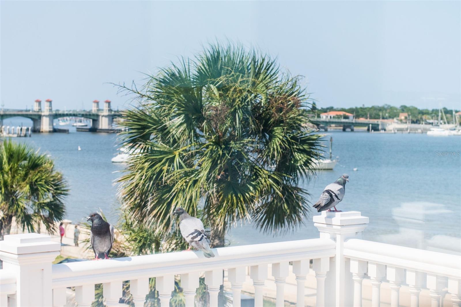 178 AVENIDA MENENDEZ, ST AUGUSTINE, FL — photo 84