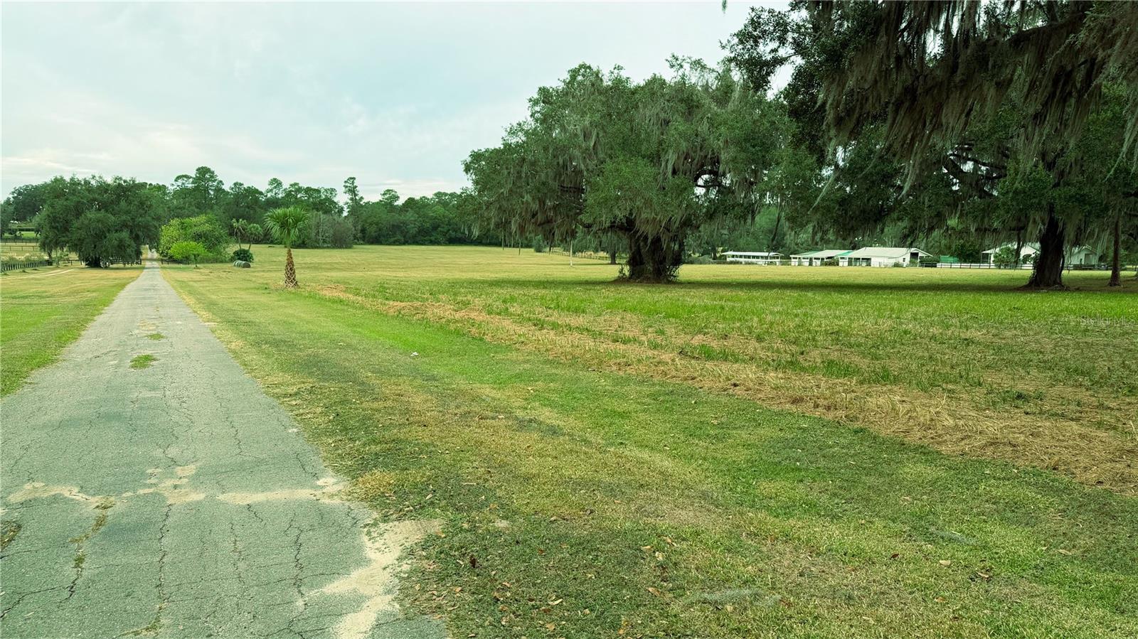 4600 NW 95TH AVENUE RD, OCALA, FL — photo 7