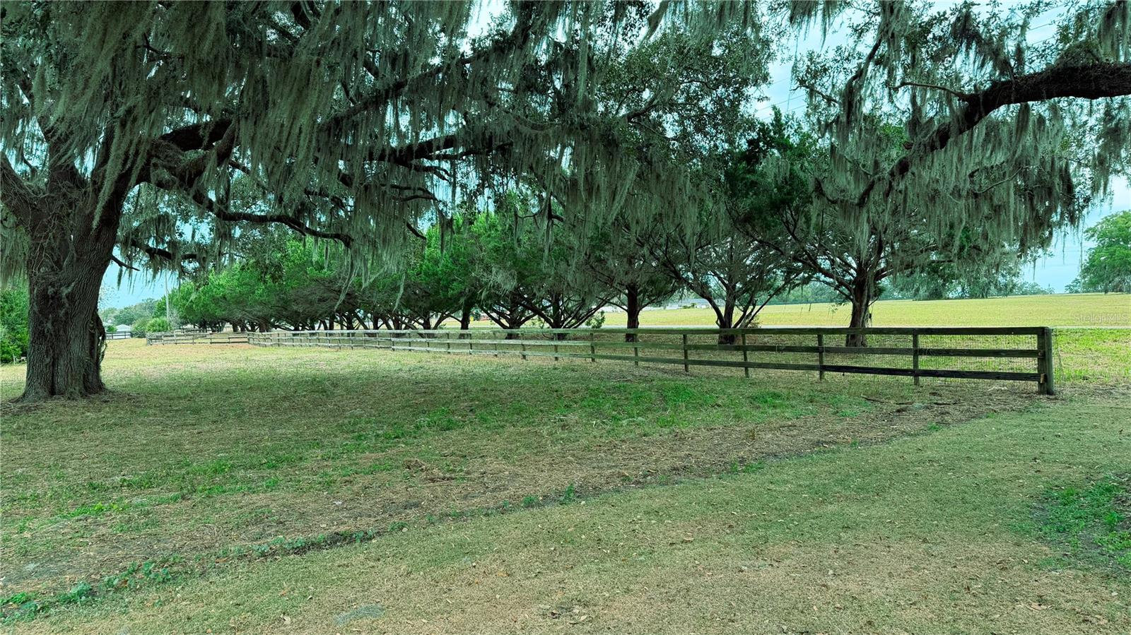 4600 NW 95TH AVENUE RD, OCALA, FL — photo 9