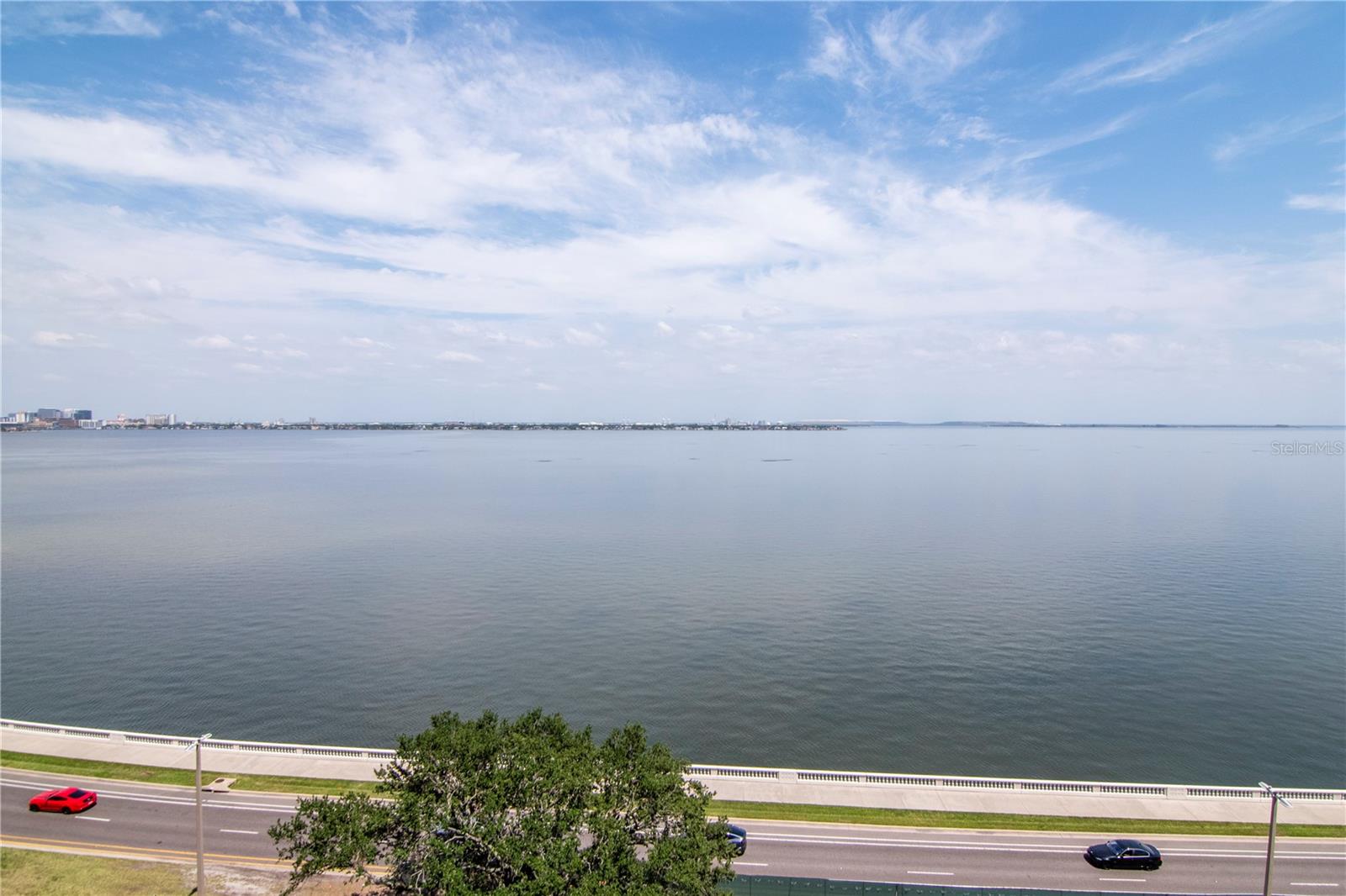 3101 W BAYSHORE BLVD #804, TAMPA, FL — photo 56